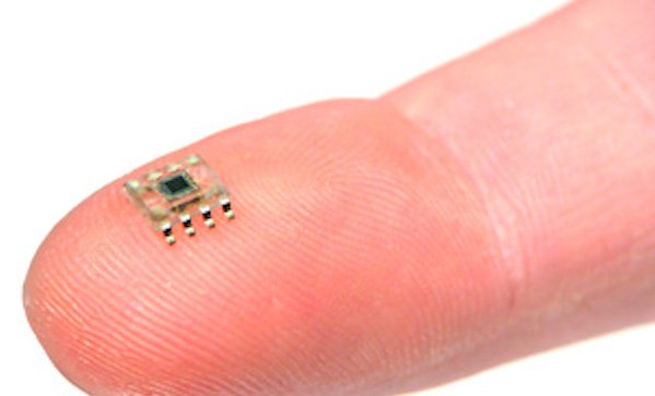 Penis Cheat Implant Chip